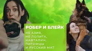 Неазия, хейт, окружение и баланс| Робер и Блейк | Писательские тараканы №7