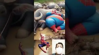 Fat superheroes sleeping with buffalo ⭐ All Characters Marvel vs DC #avengers #shorts #marvel