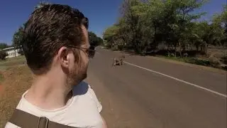 Victoria Falls and Hwange National Park Safari in Zimbabwe - Southern Africa (Part 6 of 12)