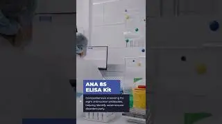 AMA-2 ELISA Kit
