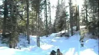 VENTDENEIGE - Le Vent des Neiges
