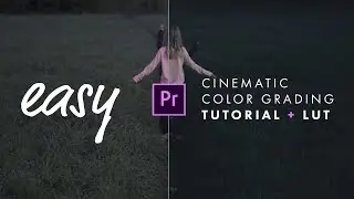 How I use my LUT