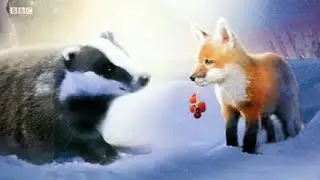 13.008  &raquo;  One Winter's Night  -  Bernard Cribbins  &laquo;  Bedtime Stories LQ