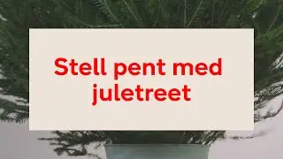 F&aring; en gr&oslash;nnere jul!
