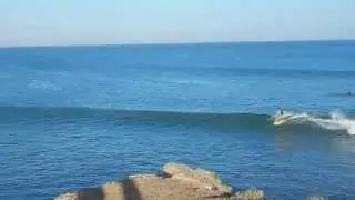 surfing a mini fish (mini simmons)