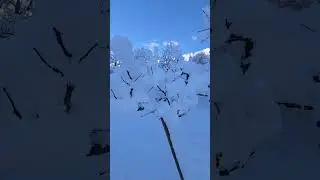 sangla valley  2024 ki barafbaari #instadaily #himachal #sangla #shortsvideo