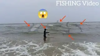 The Amazing Cast Net Fishing In The Sea Video 😱🦈😱 ||
