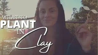 14 Plants for Clay Soil (What to Plant in Heavy Clay Soil) | Permaculture Soil Preparation