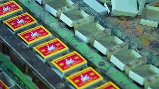 Dalagoose, Kangaroo, Al Firsan Match Box Manufacturing Process | MEI Industrial Corporation.