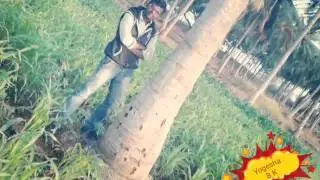 Smart Yogesh B K