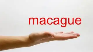 How to Pronounce macague - American English