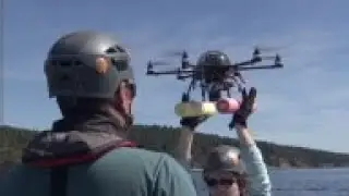 Drone Helps Track Orcas' Health in Puget Sound
