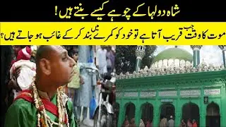 Hazrat Shah Daulah Gujarati | Rats of Shah dola | Shah dola ke choohay