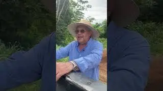 QUANDO JOGAR A BRAQUI&Aacute;RIA NO MILHO
