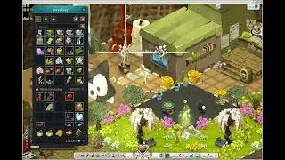 Capital in Wakfu- Chan Bella 104549824 ART1004 ASS 02