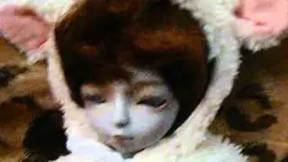 My Yosd Tsuki's Bjd Box opening face-up & clothing
