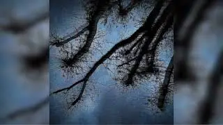 99zed & Saliva Grey - Self Sabotage [ALAC] [192kHz]