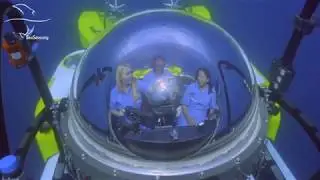 Sea Save Foundation - Mission Critical