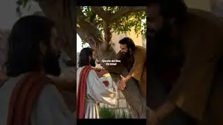 El Eterno es tu protector #amor #fe #paz #esperanza #biblia