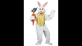 Deluxe Easter Bunny Costume