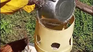 Natural treatment of diarrhea in chicken