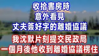收拾書房時，意外看見丈夫簽好字的離婚協議，我沈默片刻提交民政局，一個月後他收到離婚協議當場楞住！#人生感悟 #故事分享 #故事頻道 #生活經驗 #正能量 #情感