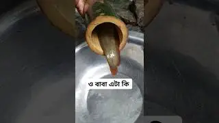 Amazing fishing technique with bamboo