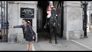Posing for photos with the King&rsquo;s Guard and his horse. 