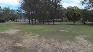 Musgrave Park, Brisbane - dogexplorer.com.au