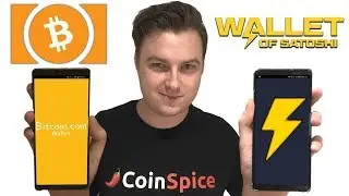 Lightning Network против Bitcoin Cash: подключение, расходы, надежность