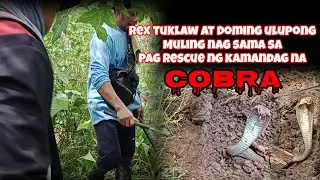 Rex tuklaw at doming ulupong muling nag sama sa pag rescue ng makamabdag na cobra