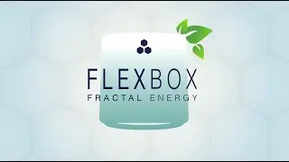 FRACTAL ENERGY explained in Motion Design with Gobelins Paris