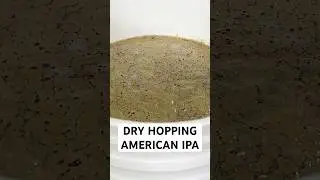 Dry Hopping an America IPA 🍺
