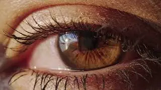 Developing More Effective Treatments for Corneal Pain &ndash; Dr. Ian Meng's Research Lab at UNE