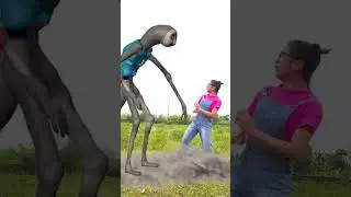 😂🤤 Siren Head Thomas Exe coffin dance