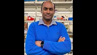 Deep dive into cofactors that drive biochemical redox reactions