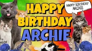 Happy Birthday Archie! Crazy Cats Say Happy Birthday Archie (Very Funny)