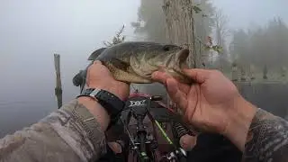 Washington bass fishing!!!🎣🌲🏞🌿🌞😎Clear Lake, Sedro Woolley