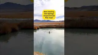 Tecopa Mud Hot Springs is truly a special place!
