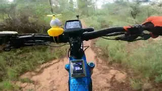 Primera salida del año