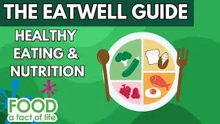 Eatwell Guide - an in-depth look at healthy eating and nutrition