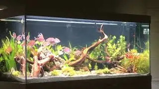 240l - 