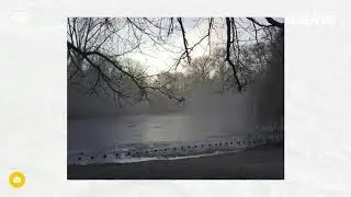 2018-03-11 | Berlin Morning Run (ITB2018)