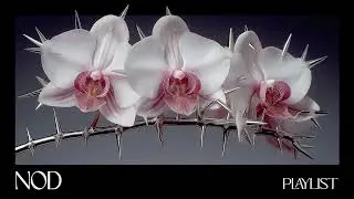 NOD ARCHIVE | Vol. 04 | Sparkly Thorns | Experimental Mathrock &bull; Groovy Glitch-hop for Happy Chaos