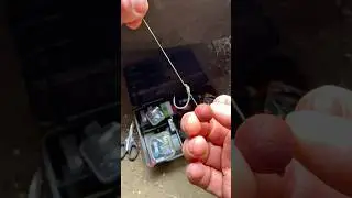 How to tie a hair rig! #everythingcarpfishing #fishing