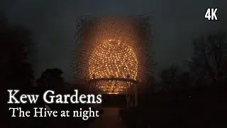 Kew Gardens - The Hive at night (4K)