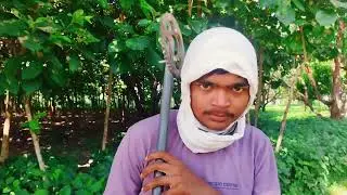 #ट्रांडिंड 