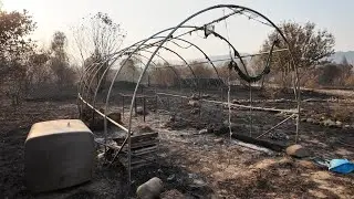 Devastation, Humour and Resilience After the Portugal Fires ☄️🧯How This Young Couple is Rebounding