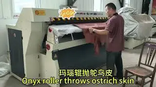 Ostrich leather polishing machine ?Which type roller for running ?