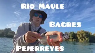 Pescando pejerrey chileno🇨🇱 con pluma 🪶